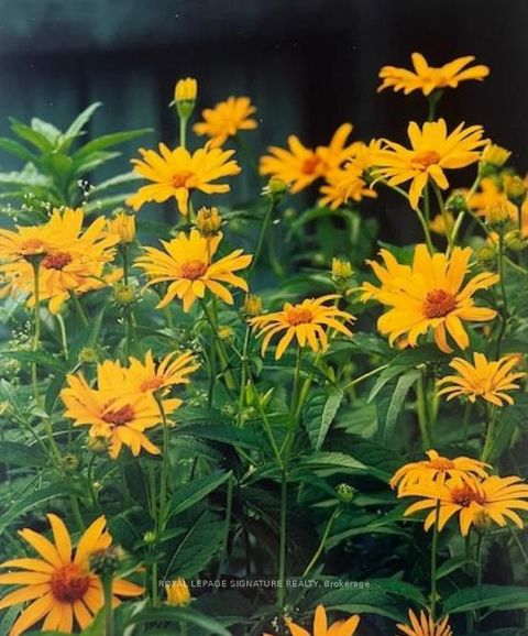 Photo 40 at 28 Grove Park Crescent, Don Valley Village, Toronto