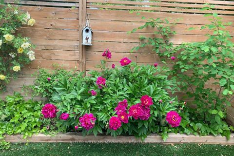 Photo 47 at 554 Balliol Street, Mount Pleasant East, Toronto