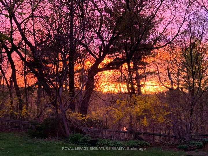 Photo 40 at 142 Three Valleys Drive, Donalda, Toronto