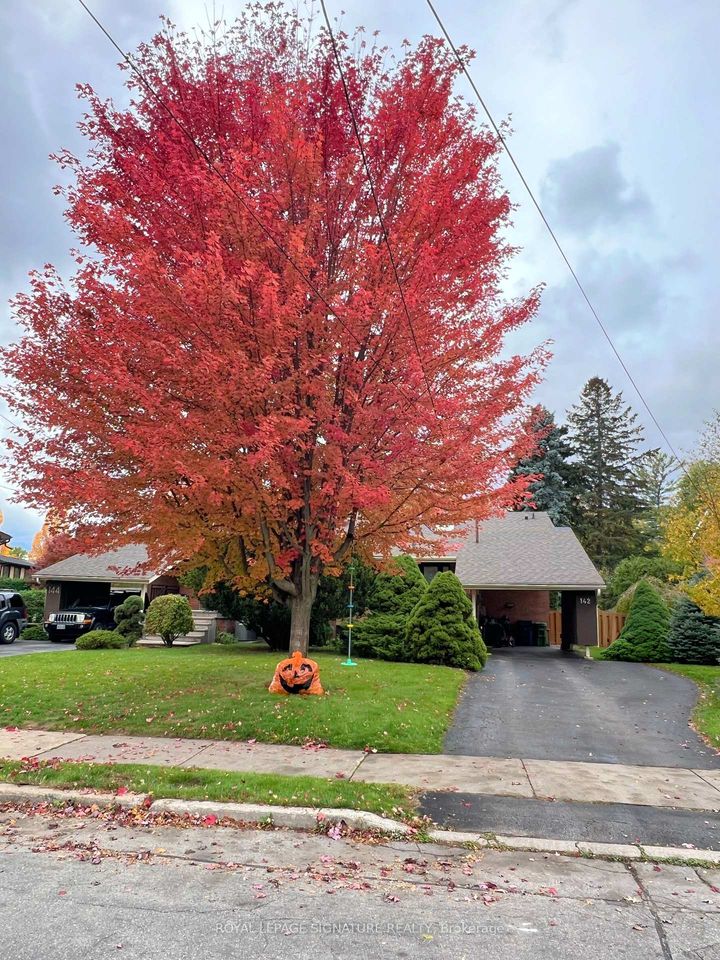 Photo 41 at 142 Three Valleys Drive, Donalda, Toronto