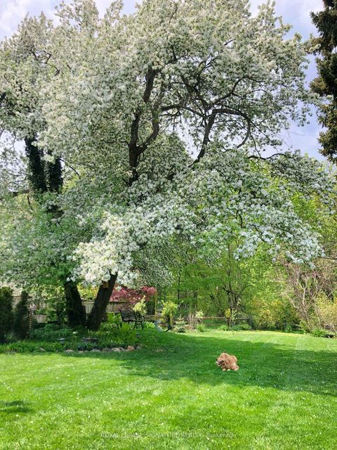 Photo 37 at 142 Three Valleys Drive, Donalda, Toronto