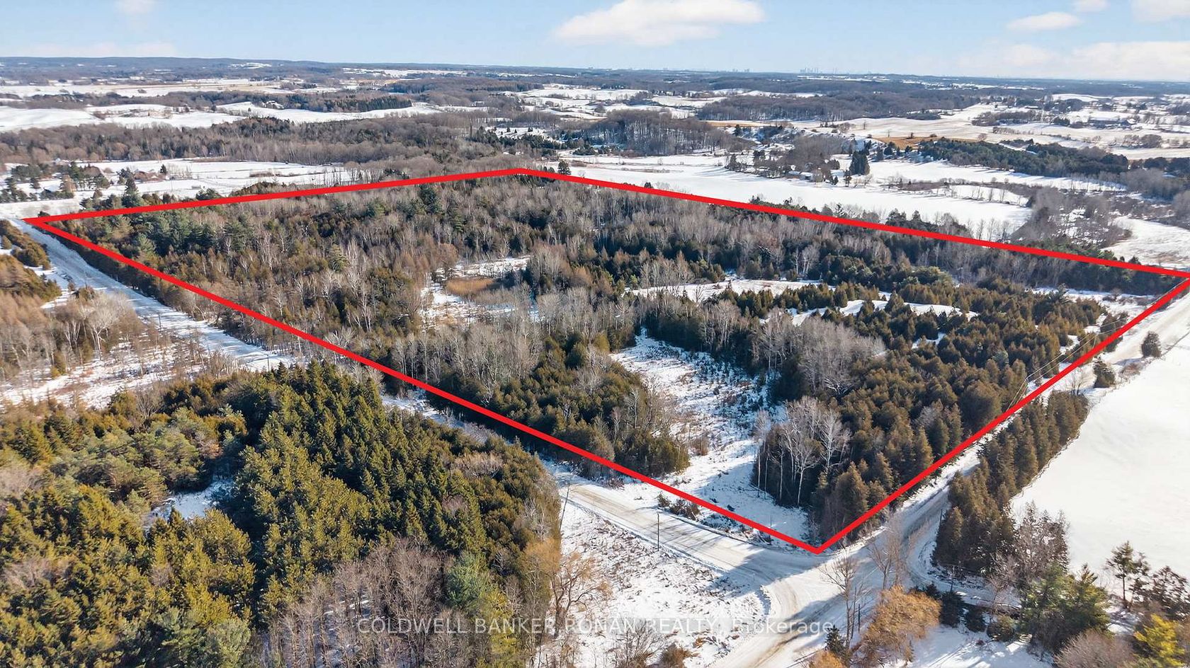 8155 19th Side Road, Rural King, King photo 8