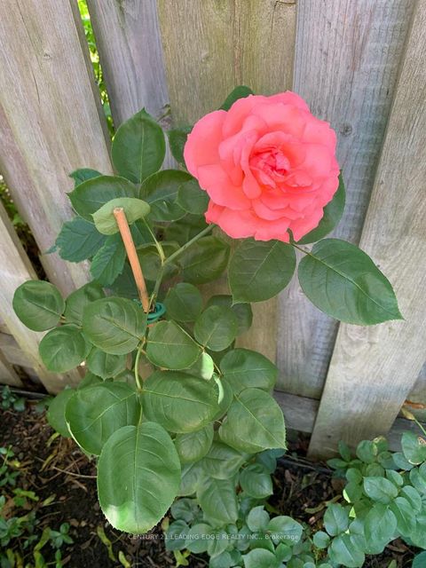 Photo 41 at 10 EMPSON Court, South West, Ajax