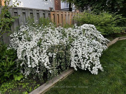 Photo 43 at 10 EMPSON Court, South West, Ajax