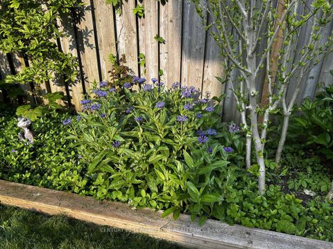 Photo 44 at 10 EMPSON Court, South West, Ajax