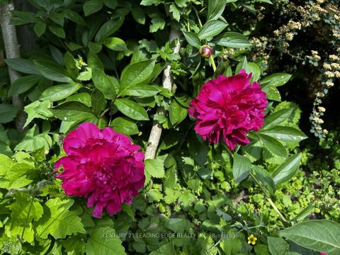 Photo 46 at 10 EMPSON Court, South West, Ajax