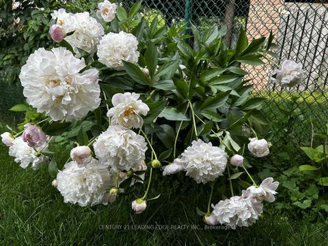 Photo 47 at 10 EMPSON Court, South West, Ajax