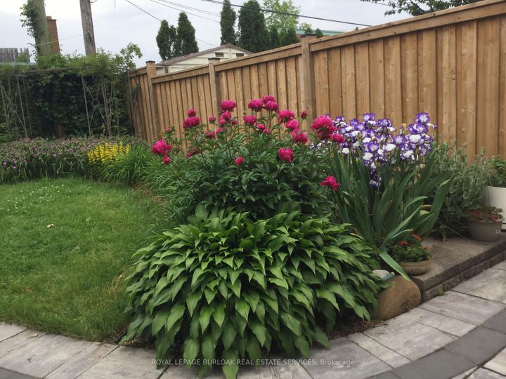 Photo 41 at 1294 Napier Crescent, CP College Park, Oakville