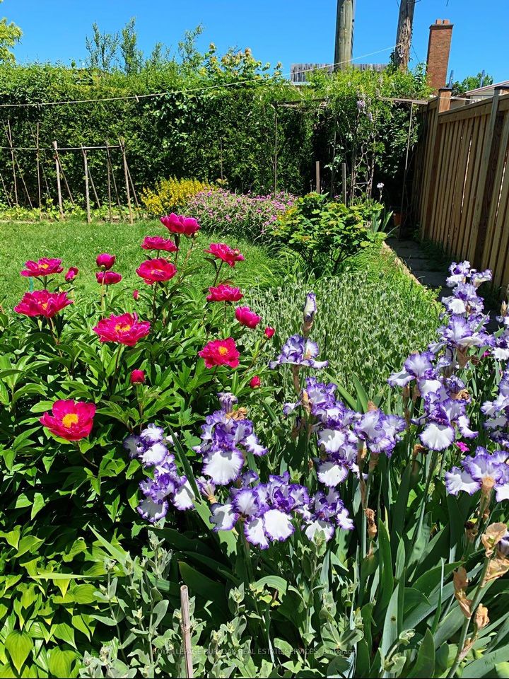 Photo 43 at 1294 Napier Crescent, CP College Park, Oakville