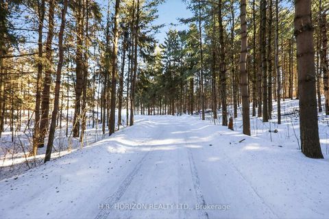 Photo 48 at 13045 Jane Street, King City, King