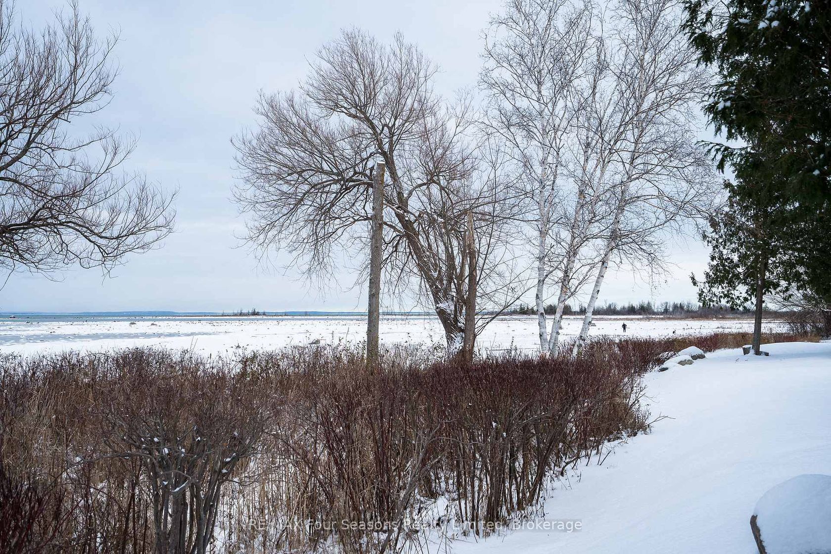 24 - 44 Trott Boulevard, Collingwood 