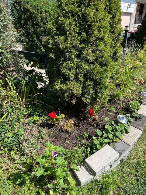 Photo 39 at 24 Lalton Place, Guildwood, Toronto