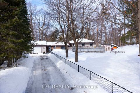 Photo 29 at 3923 Guest Road, Rural Innisfil, Innisfil