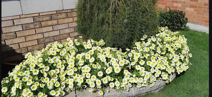 Photo 42 at 295 Waterbury Crescent, Port Perry, Scugog