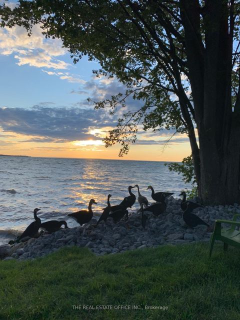 Photo 13 at 100 Alsops Beach Road N, Beaverton, Brock