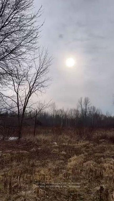 Photo 28 at 393 Adeline Drive, Keswick South, Georgina