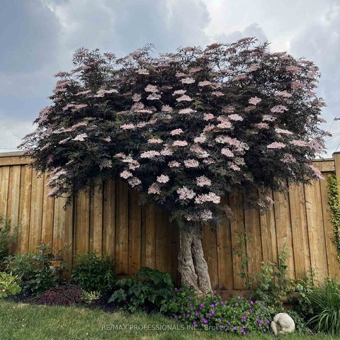 Photo 45 at 4 Gatewood Crescent, Humber Valley, Toronto