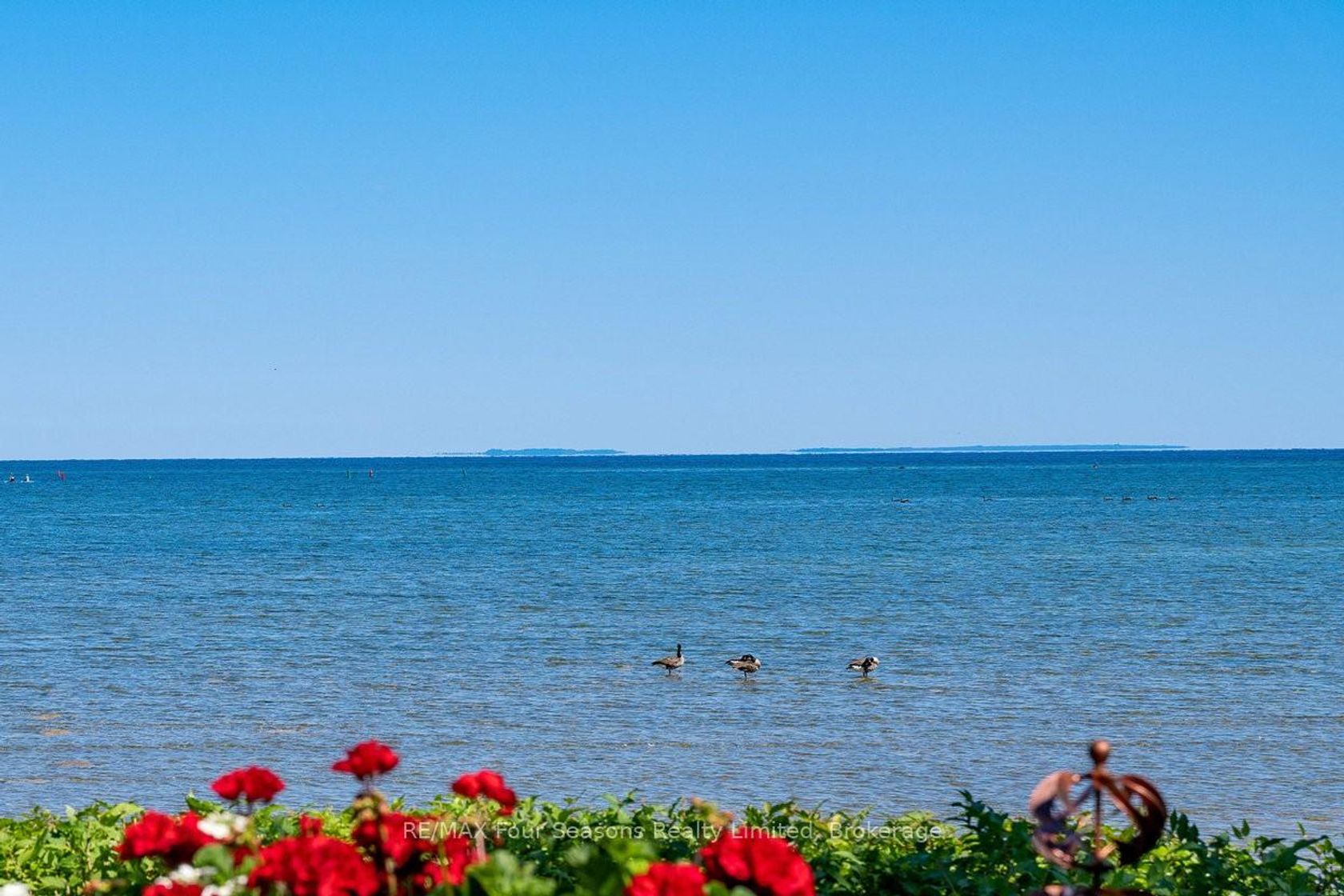 17 - 44 Trott Boulevard, Collingwood 