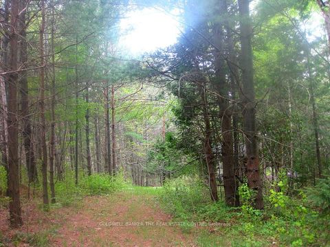 Photo 10 at 15600 Weston Road, Rural King, King