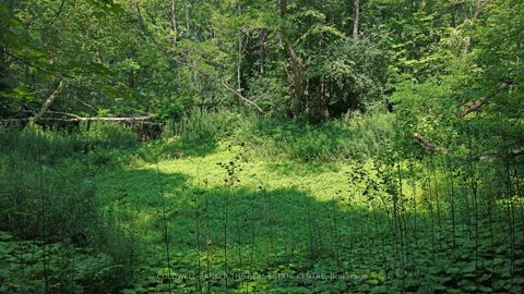 Photo 12 at 15600 Weston Road, Rural King, King