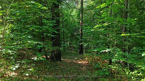 Photo 20 at 15600 Weston Road, Rural King, King