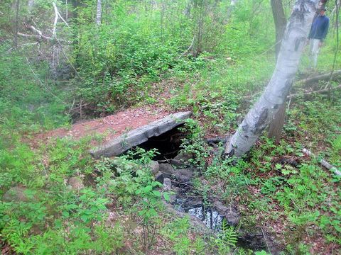 Photo 38 at 15600 Weston Road, Rural King, King