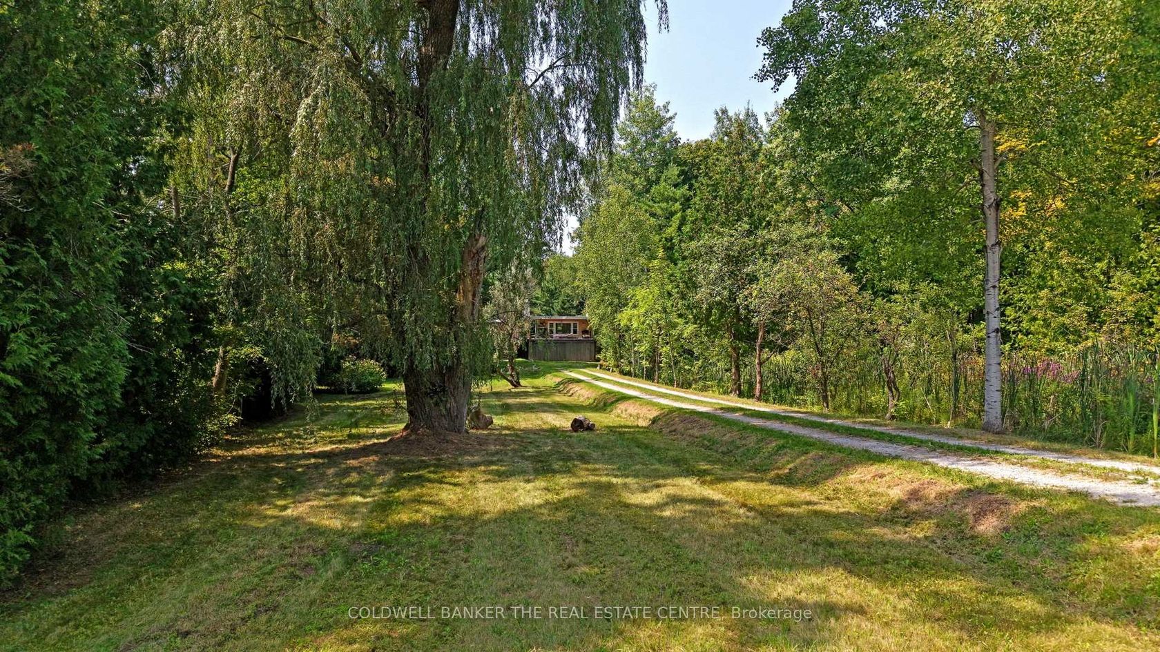 15600 Weston Road, Rural King, King photo number 2