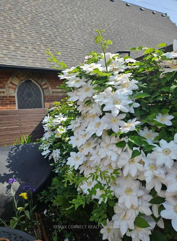 Photo 36 at 122 Robinson Street, Bellwoods, Toronto