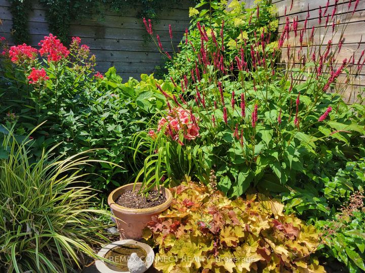 Photo 37 at 122 Robinson Street, Bellwoods, Toronto