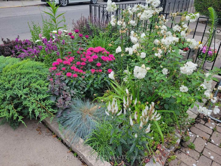 Photo 39 at 122 Robinson Street, Bellwoods, Toronto