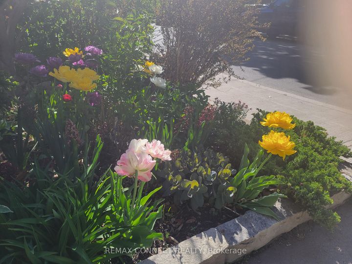 Photo 41 at 122 Robinson Street, Bellwoods, Toronto