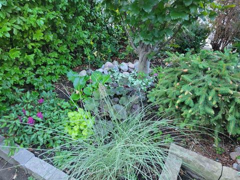 Photo 43 at 122 Robinson Street, Bellwoods, Toronto