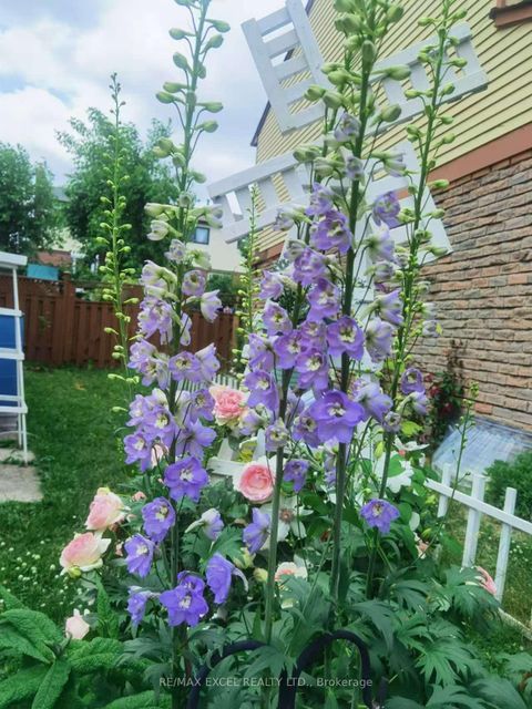 Photo 46 at 34 Whistling Hills Drive, Milliken, Toronto