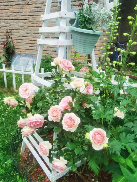 Photo 47 at 34 Whistling Hills Drive, Milliken, Toronto