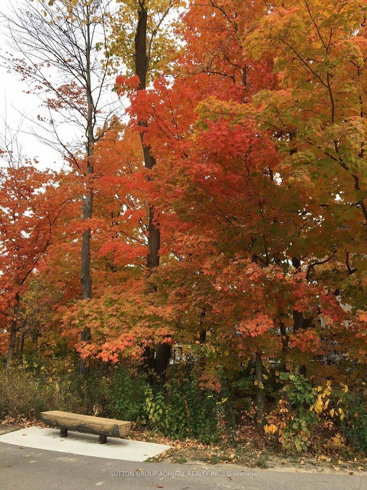 Photo 49 at 15 Stormont Trail, Vellore Village, Vaughan