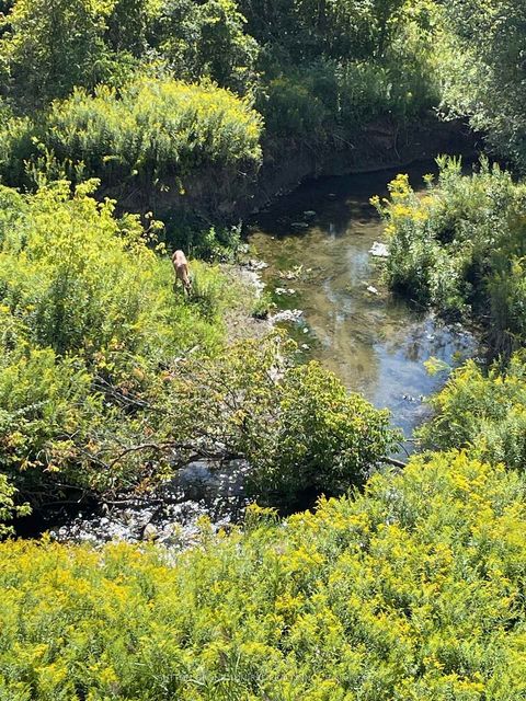 Photo 46 at 15 Stormont Trail, Vellore Village, Vaughan