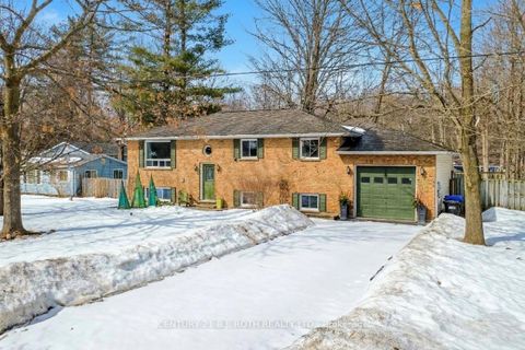 Photo 34 at 3861 East Street E, Rural Innisfil, Innisfil