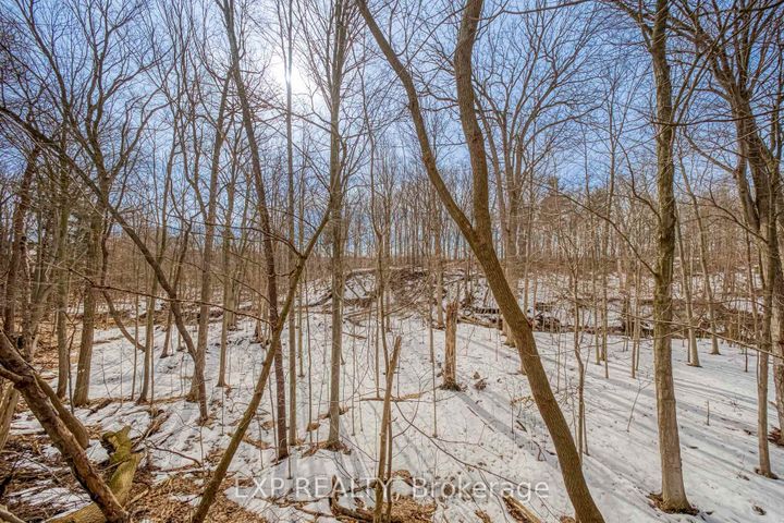 Photo 18 at 13 Carmel Court, Steeles, Toronto