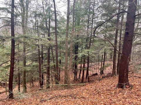 Photo 7 at 1785 Davis Drive W, Rural King, King