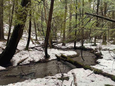 Photo 8 at 1785 Davis Drive W, Rural King, King