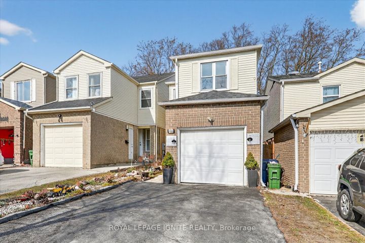 Photo 3 at 46 Courtlands Drive, Malvern, Toronto