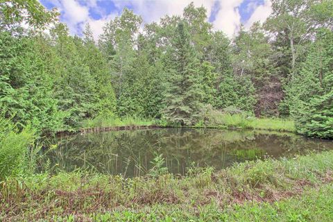 Photo 22 at 7670 19th Side Road, Rural King, King