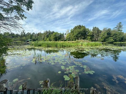 Photo 10 at 164 RIVERBANK Drive, Pefferlaw, Georgina