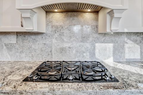 Photo 12 at 397 Maple Leaf Drive, Maple Leaf, Toronto