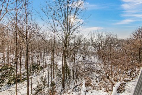 Photo 36 at 397 Maple Leaf Drive, Maple Leaf, Toronto