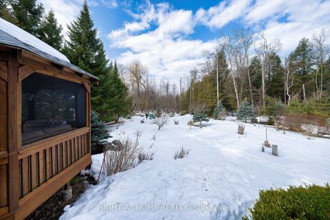 Photo 49 at 3338 WARNICA Avenue, Rural Innisfil, Innisfil