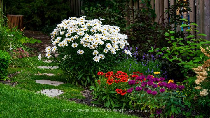 Photo 49 at 72 Cantertrot Court, Brownridge, Vaughan