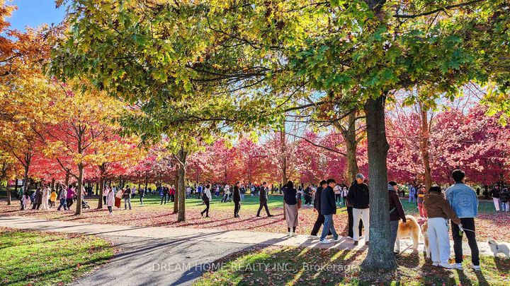 Photo 37 at 269 Helen Avenue, South Unionville, Markham