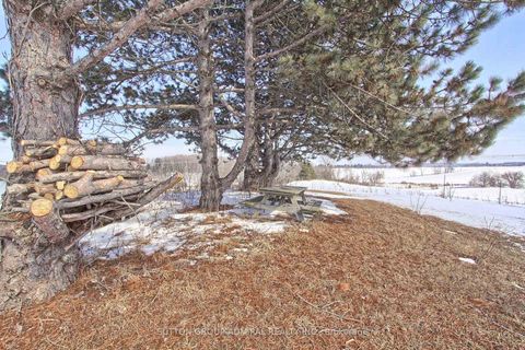 Photo 47 at 7205 19th Side Road, Schomberg, King