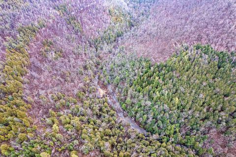 Photo 32 at 1415 County Rd 124, Rural Clearview, Clearview